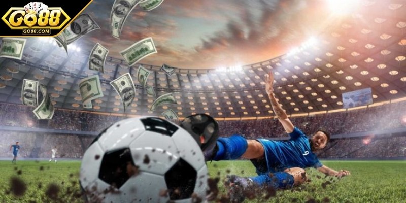 Không nên bỏ qua thông tin liên quan đội hình