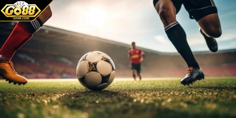 Học cách kiểm tra những thông tin của các bên